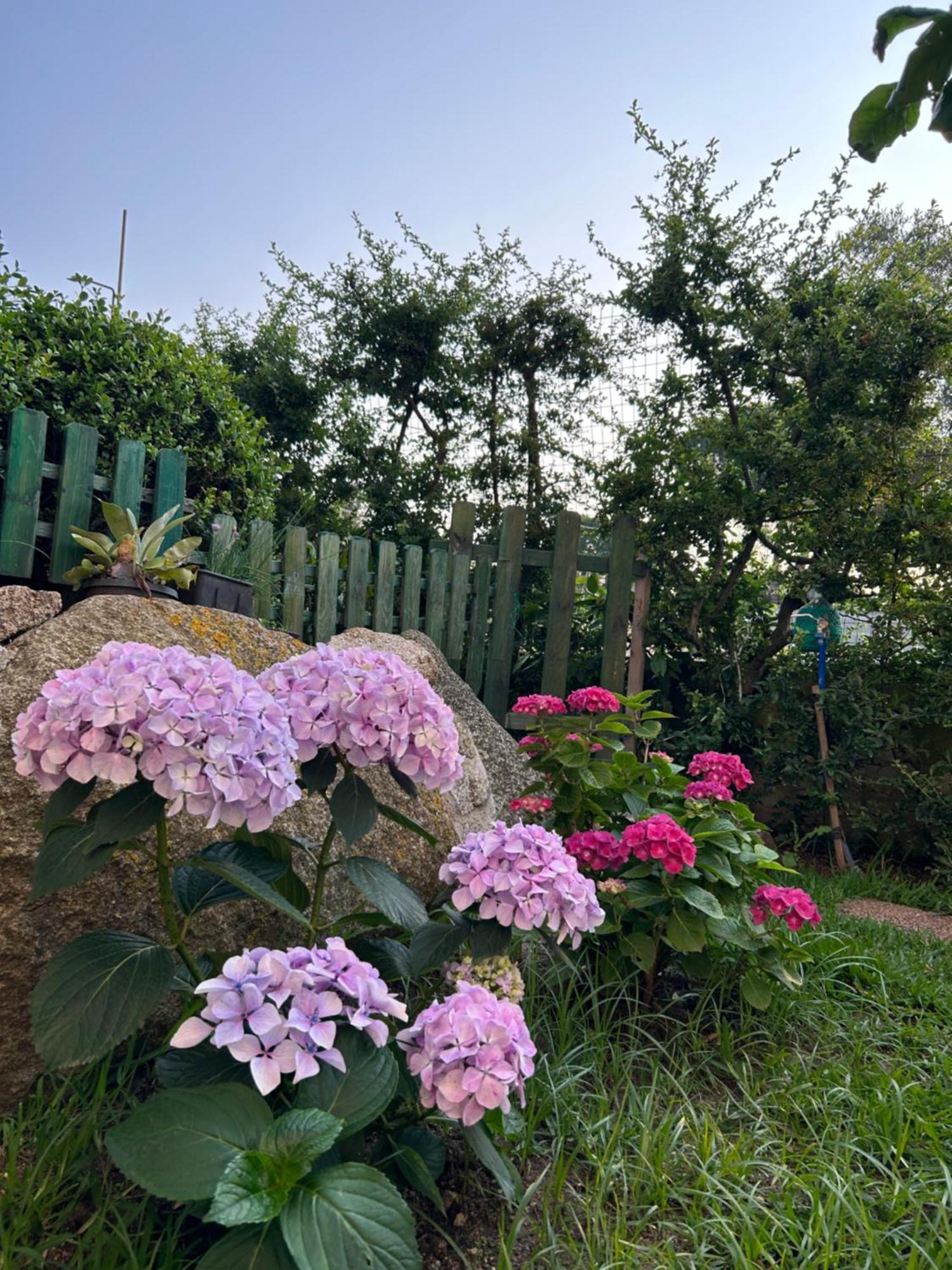 Alto Giardino Zambrone Exterior foto
