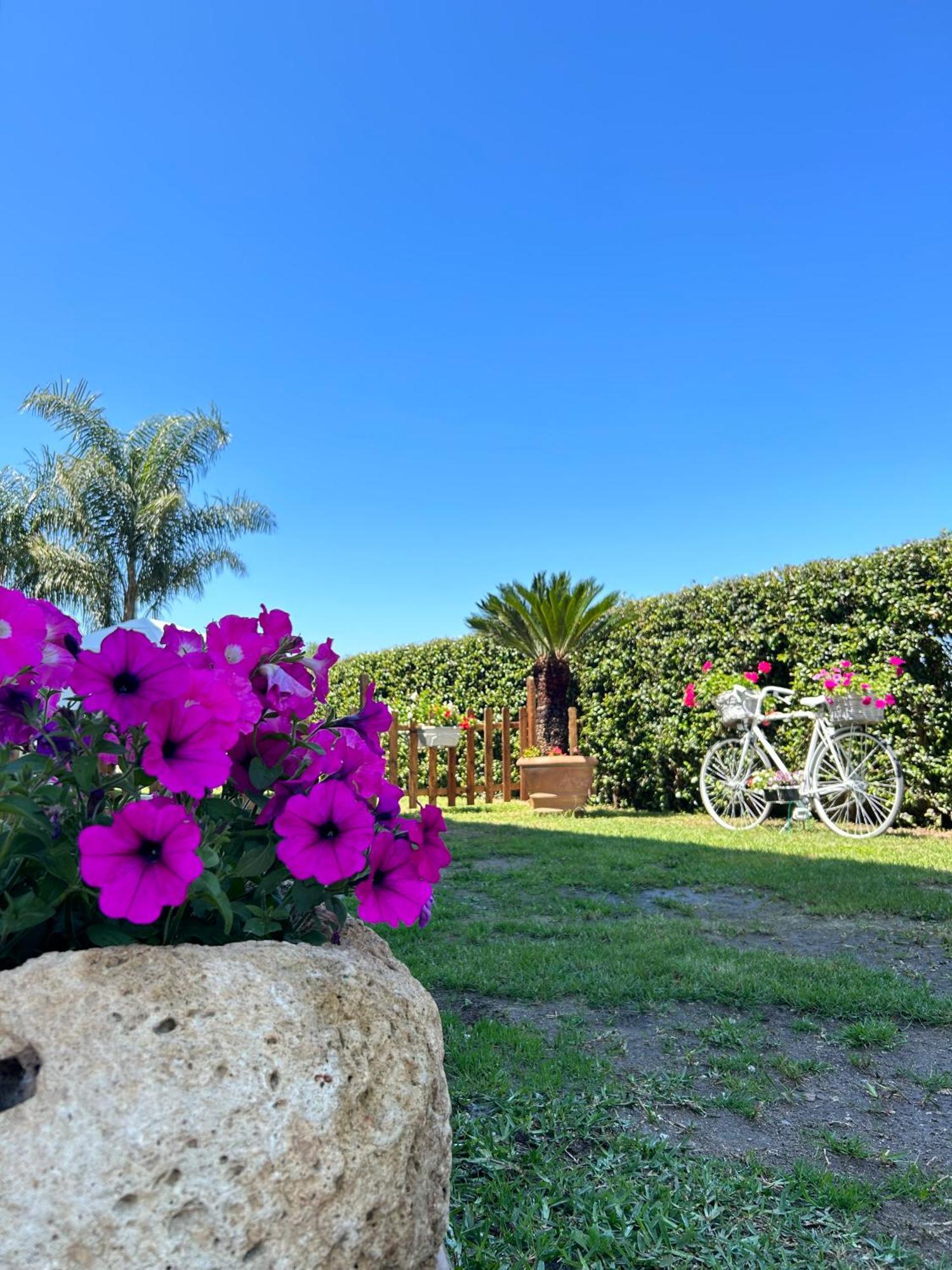 Alto Giardino Zambrone Exterior foto