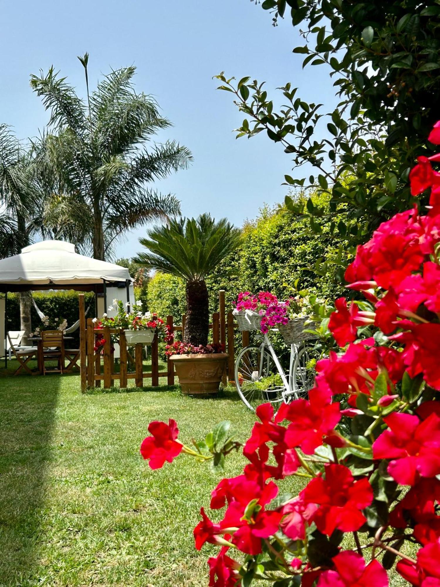 Alto Giardino Zambrone Exterior foto